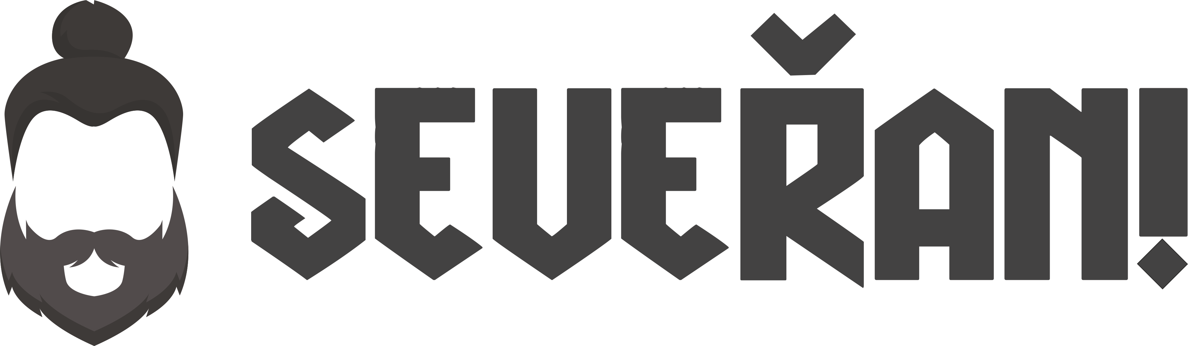 Logo Seveřan!